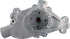 31100 - SHORT WATER PUMP