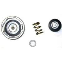 POLISHED RADIATOR CAP
